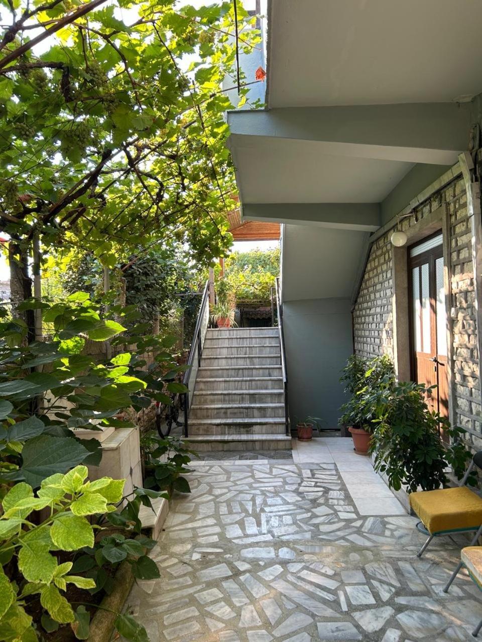 Guesthouse Katerina ベラト エクステリア 写真